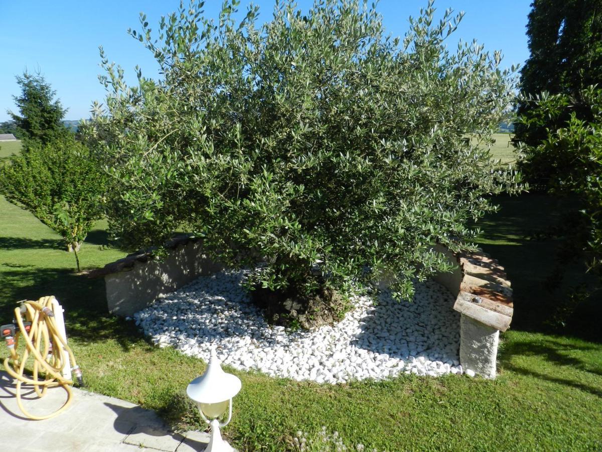 Bed and Breakfast L'Alivu Couches Zewnętrze zdjęcie
